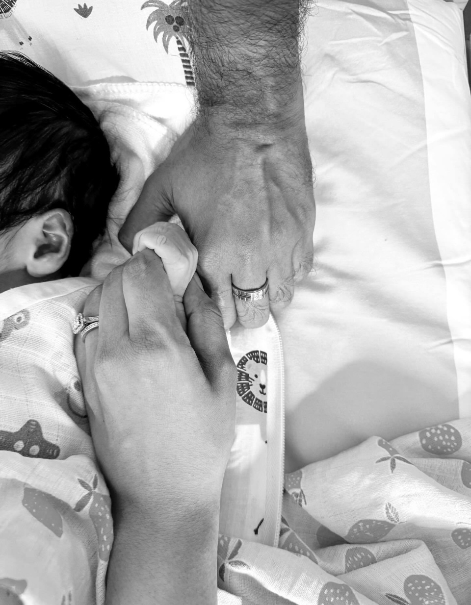 此外, 进入, 体宣布儿子 此外, 进入, 体宣布儿子