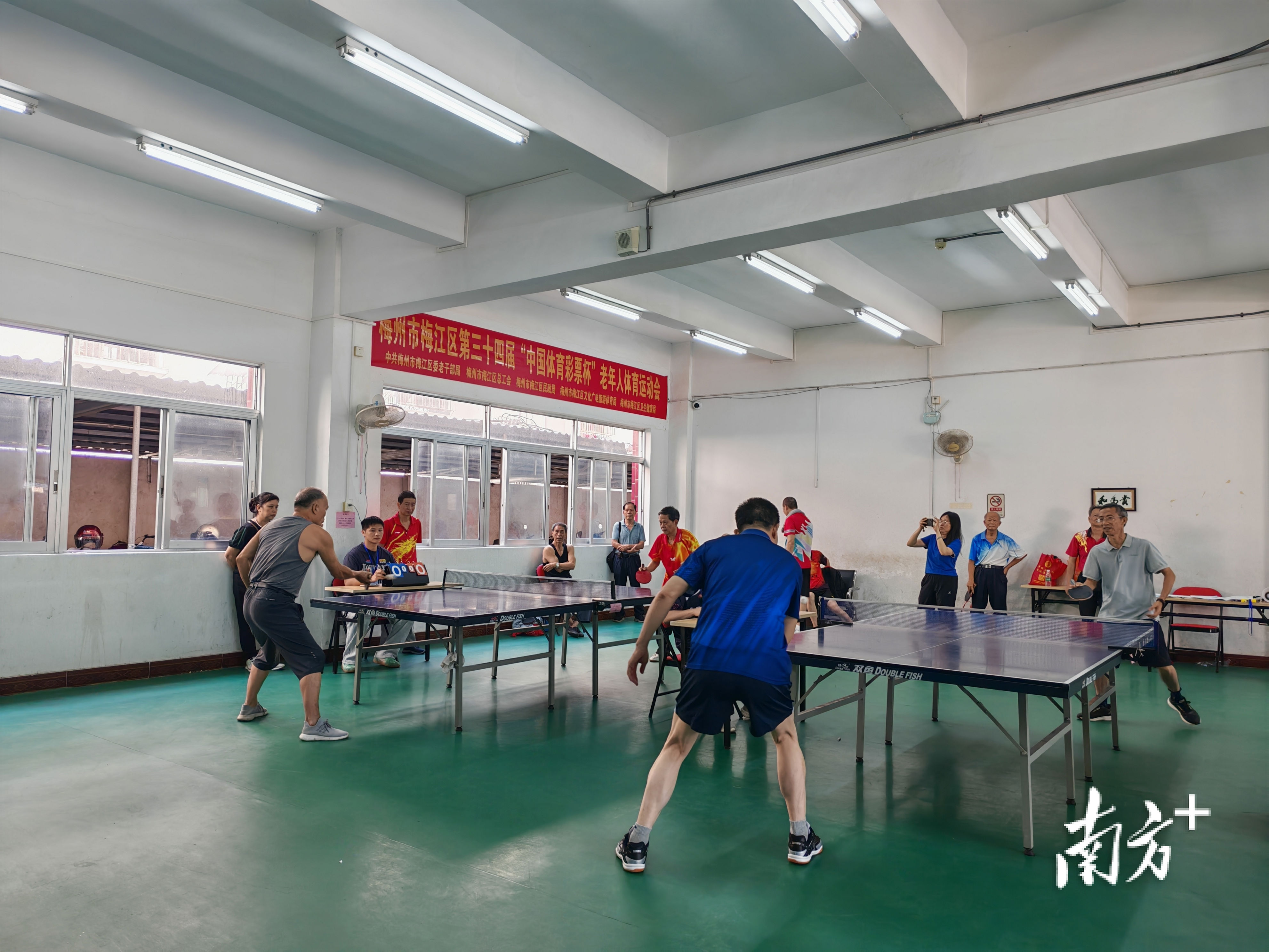 cn, 张柳青 cn, 张柳青